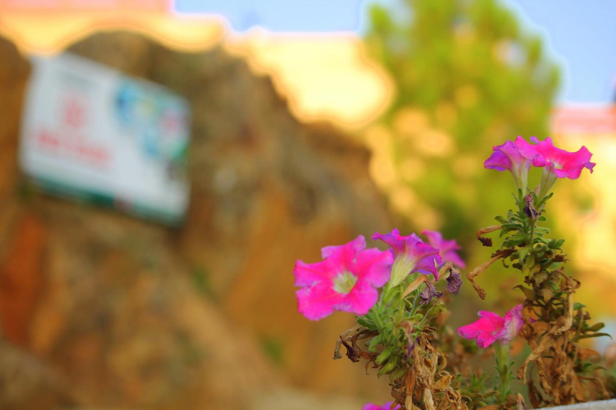 Red Rose Hotel & Resort Mansehra Exterior foto